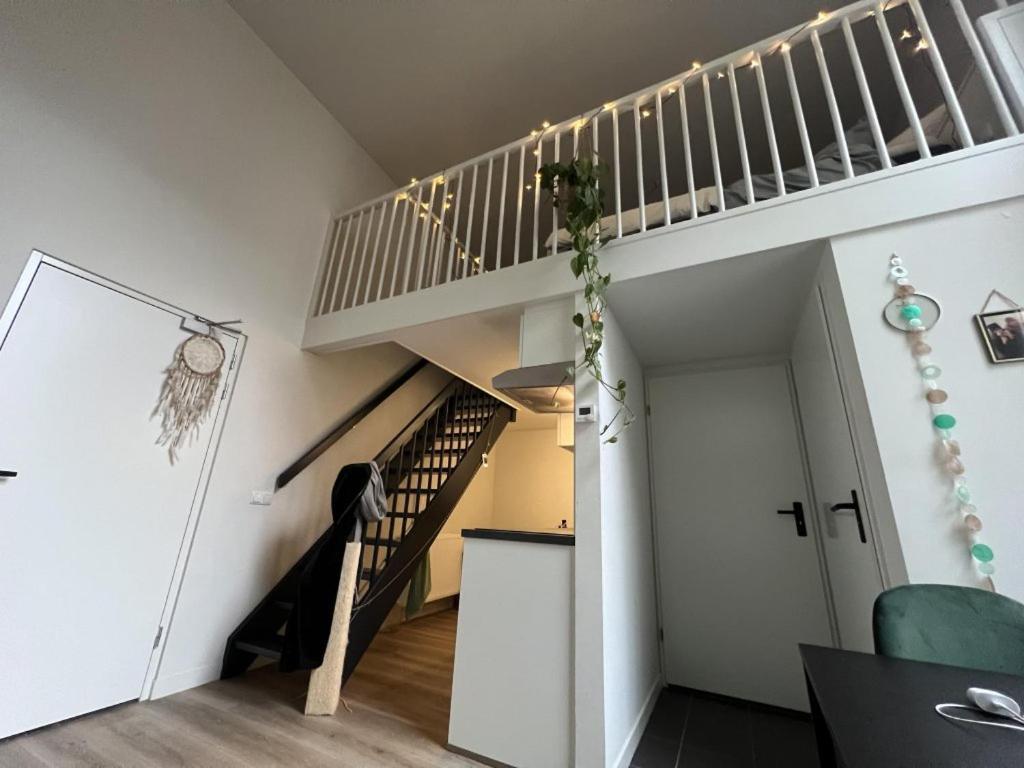 דירות זוולה Stadslogement Goudsteeg 19B מראה חיצוני תמונה